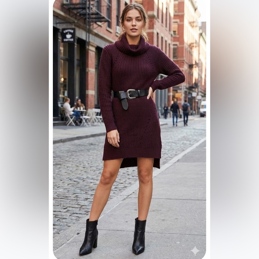 🚨4X$25🚨 Burgundy Knit Turtleneck Dress